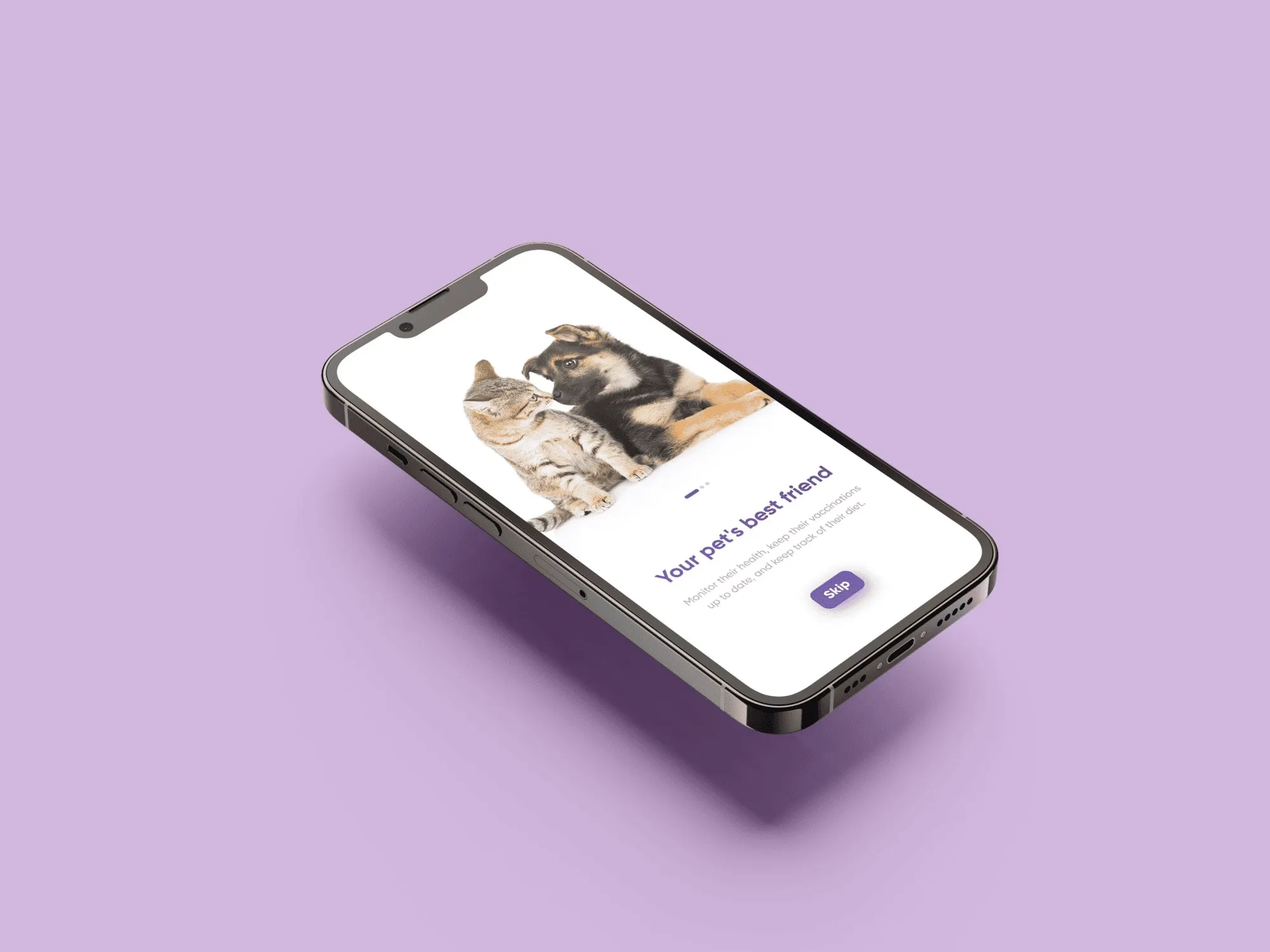Pet Care App, paper, appointment cards and mental notes