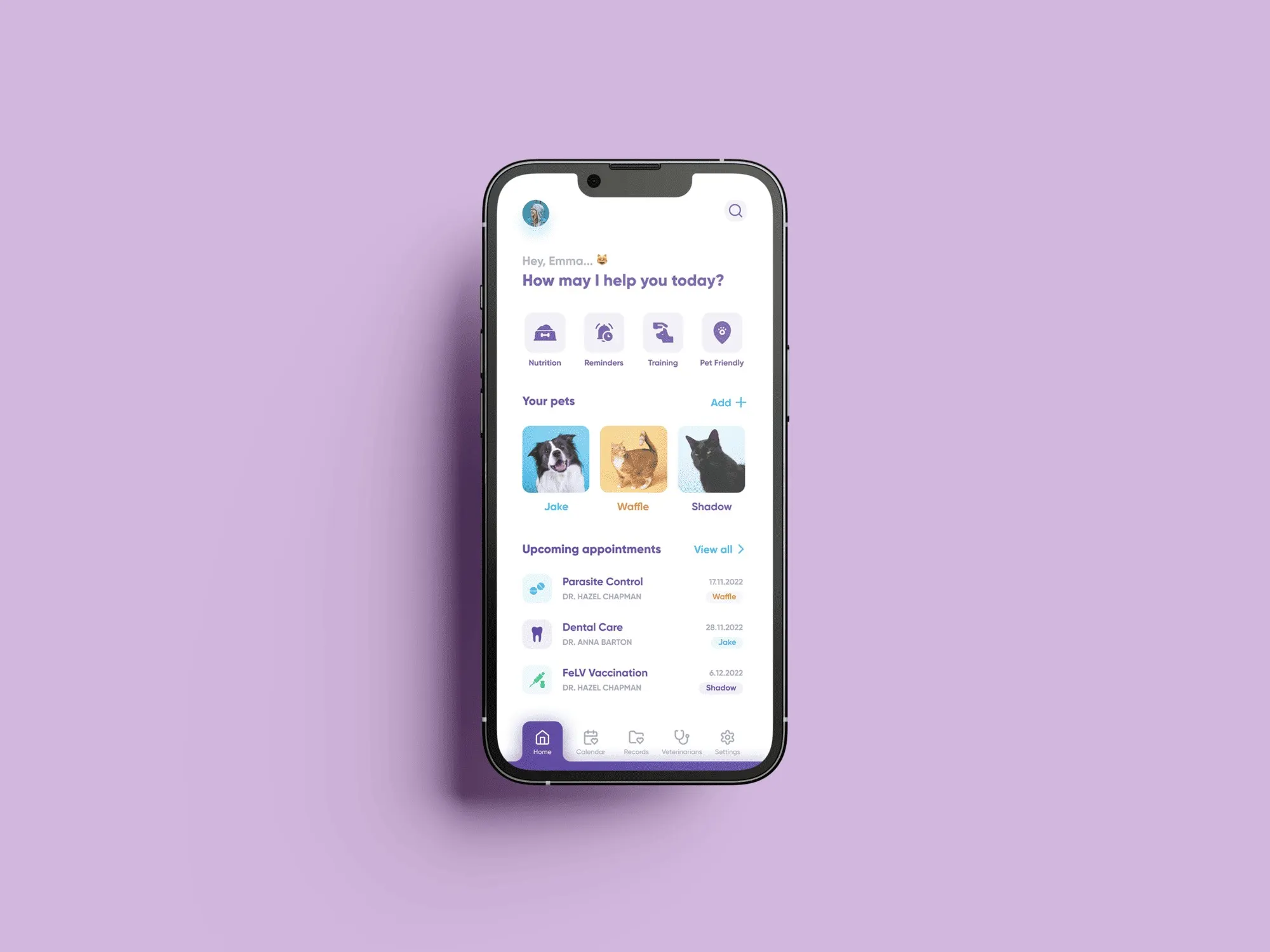 Pet Care App, paper, appointment cards and mental notes