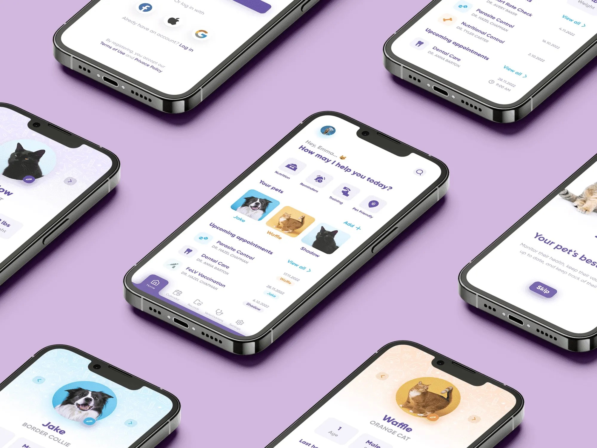 Pet Care App, calm for complex information